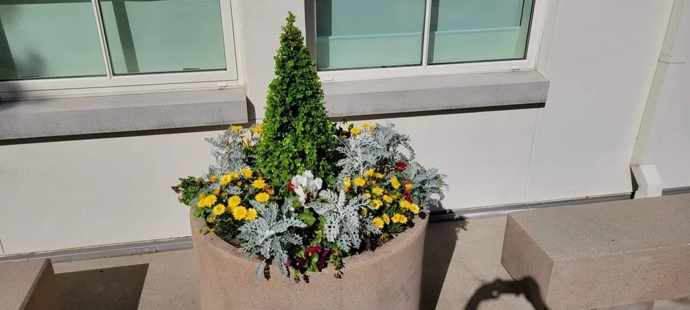 Top-rated landscape design in brentwood, CA by Full Spectrum Outdoor