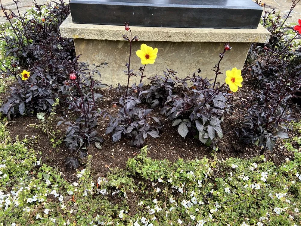 Reliable outdoor landscaping in brentwood, CA - Full Spectrum Outdoor