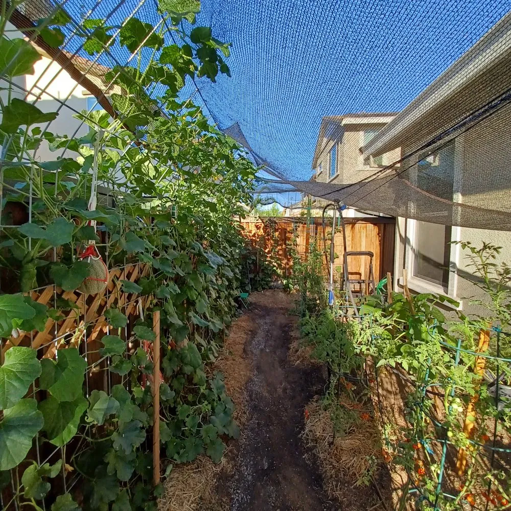 Trusted lawn mowing service experts serving brentwood, CA - Full Spectrum Outdoor