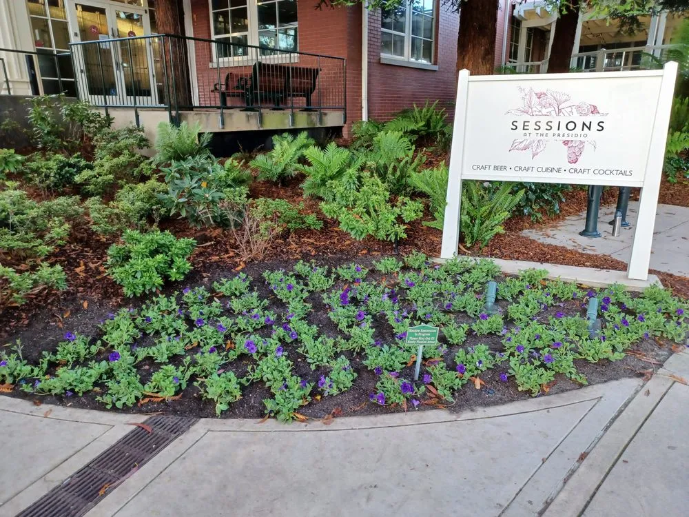 Custom outdoor landscaping in brentwood, CA - Full Spectrum Outdoor