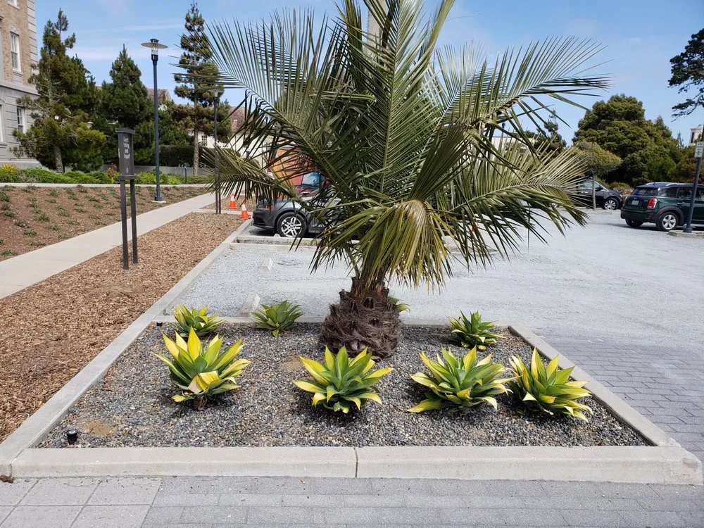 Local landscape design in brentwood, CA - Full Spectrum Outdoor