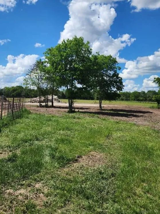 Reliable yard cleanup service near you in Ledbetter, TX by Full Throttle Land Clearing & Management