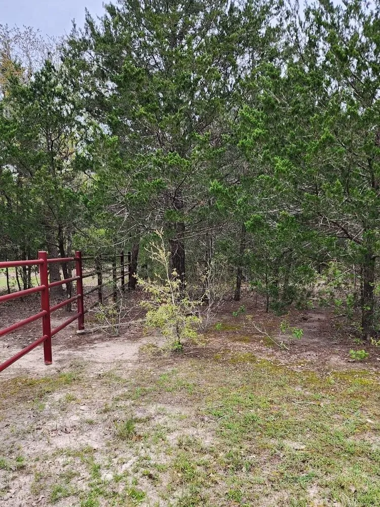 Trusted residential landscaping with custom design across Ledbetter, TX - Full Throttle Land Clearing & Management