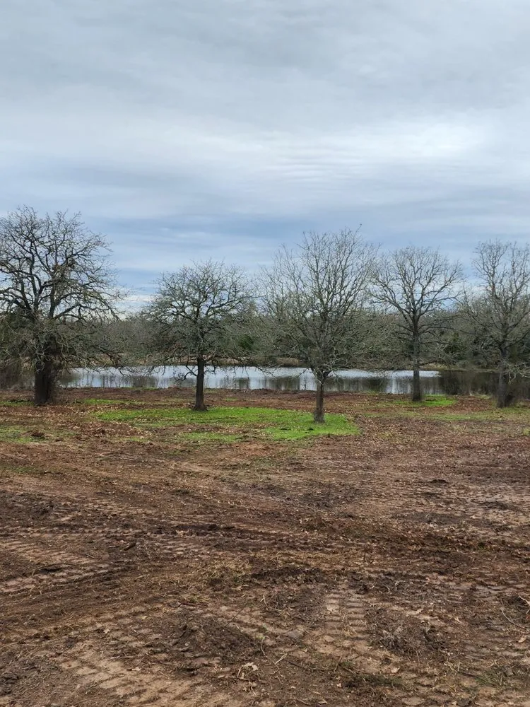 Trusted landscape installation in Ledbetter, TX by Full Throttle Land Clearing & Management