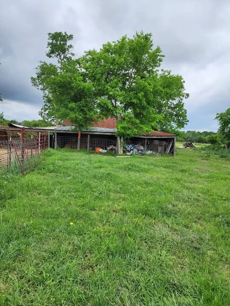 Affordable lawn mowing service experts serving Ledbetter, TX - Full Throttle Land Clearing & Management