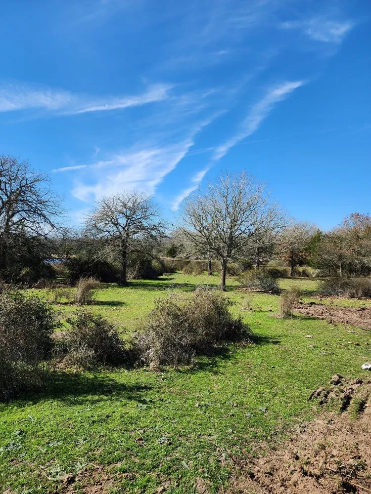 Reliable outdoor landscaping in Ledbetter, TX - Full Throttle Land Clearing & Management