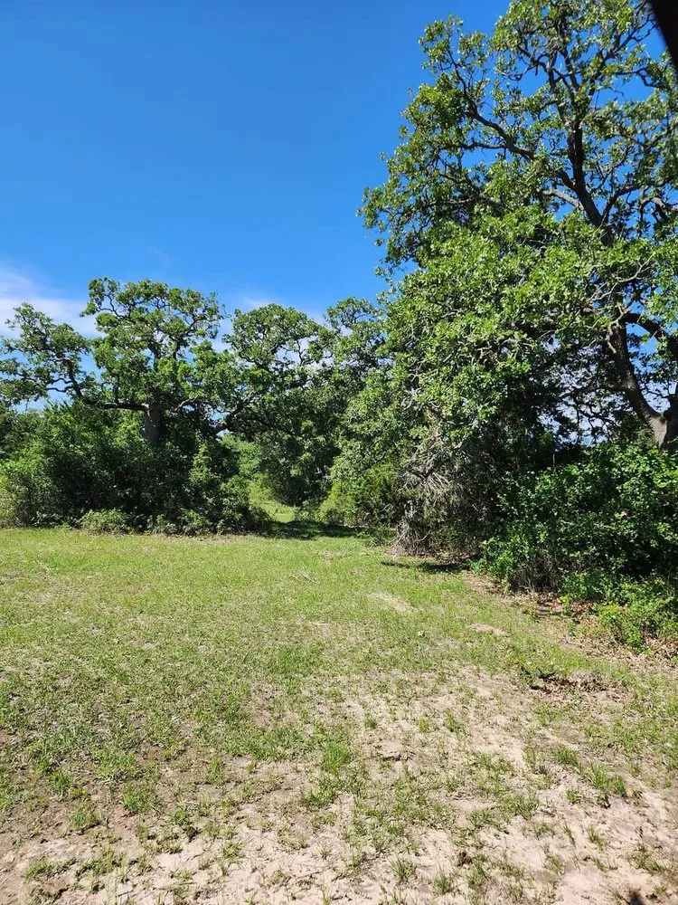 Professional yard maintenance in Ledbetter, TX by Full Throttle Land Clearing & Management