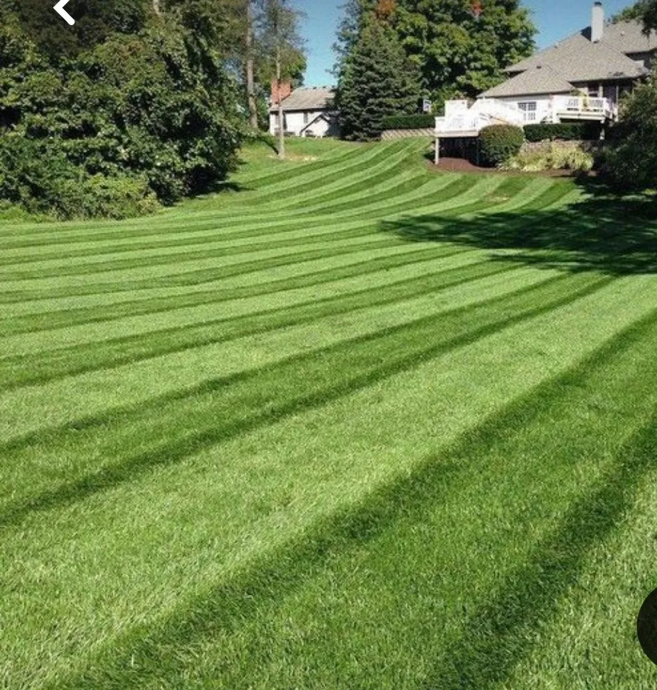 Professional yard cleanup service near you across Wilmington, DE - Full Throttle Landscaping