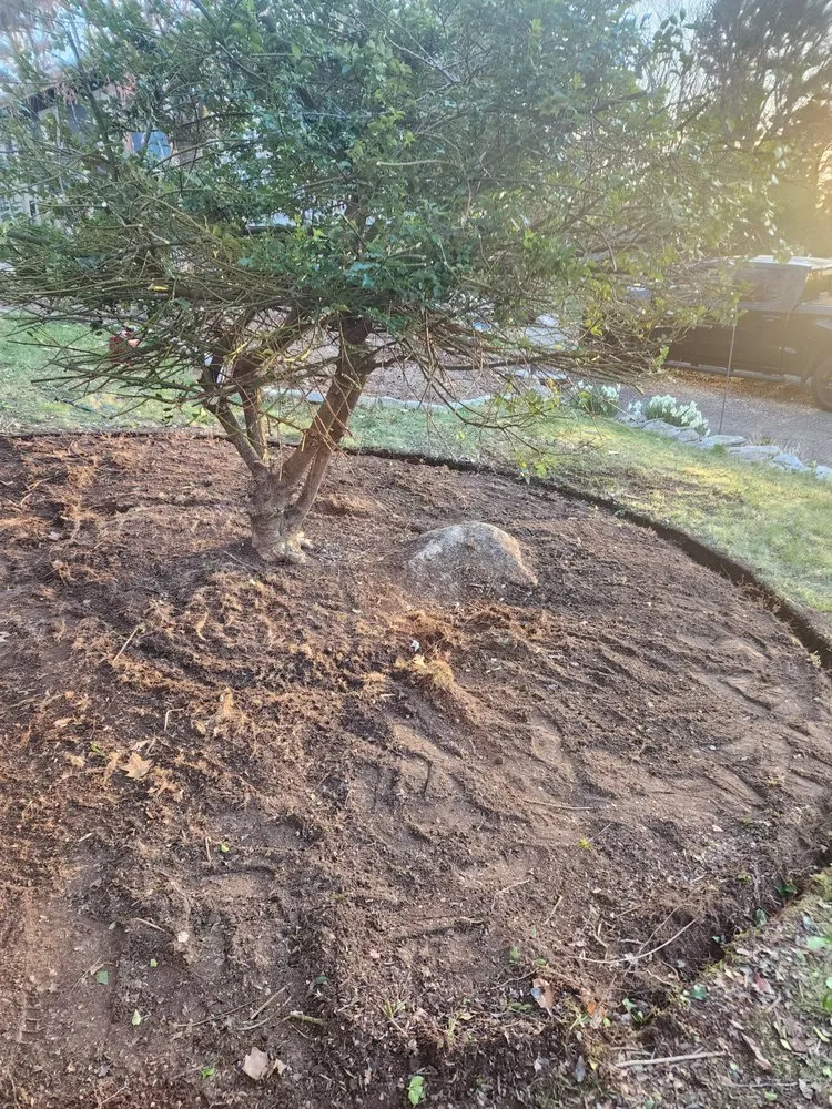 Top-rated landscaping services in Tolland, CT - Full Throttle Lawn Care