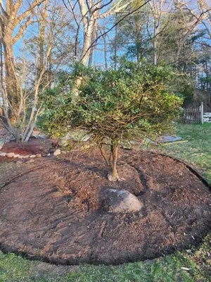 Full Throttle Lawn Care