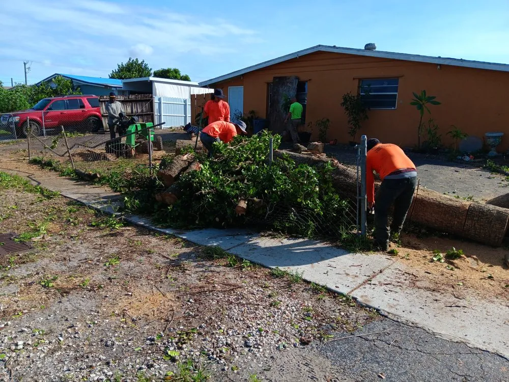 Expert residential landscaping near you in North Miami Beach, FL by Full Tree