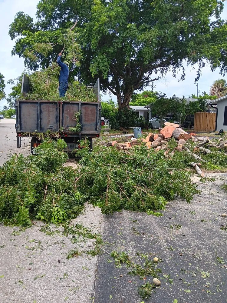 Trusted landscape installation in North Miami Beach, FL by Full Tree
