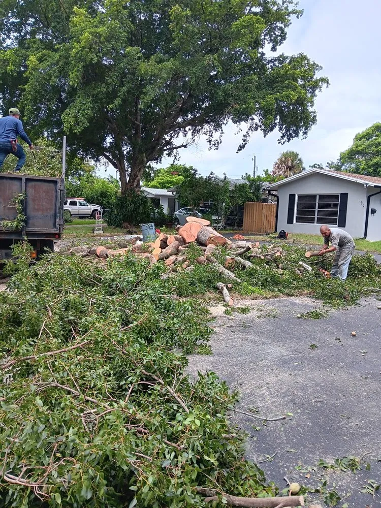 Expert landscape installation in North Miami Beach, FL by Full Tree