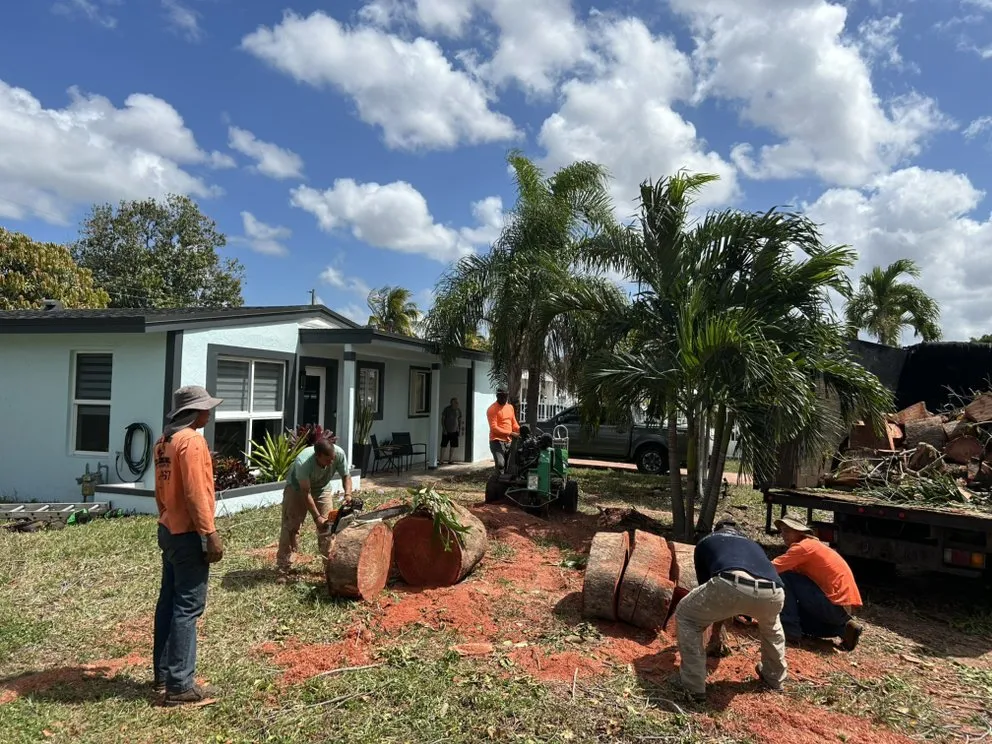Trusted yard cleanup service in North Miami Beach, FL - Full Tree
