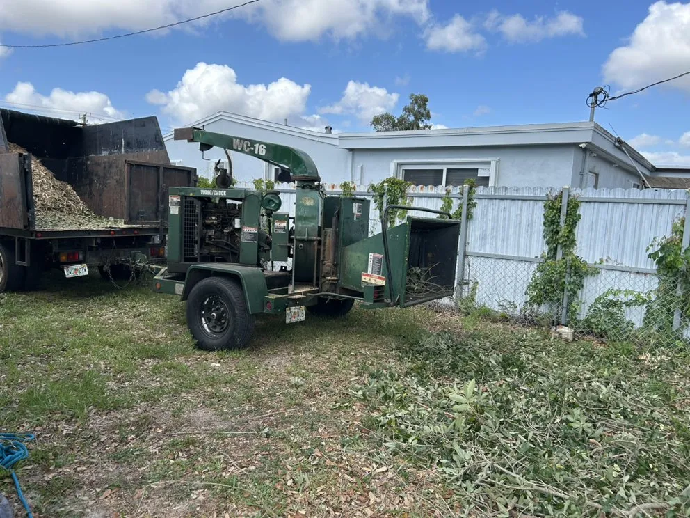 Custom landscaping services for outdoor upgrades in North Miami Beach, FL by Full Tree