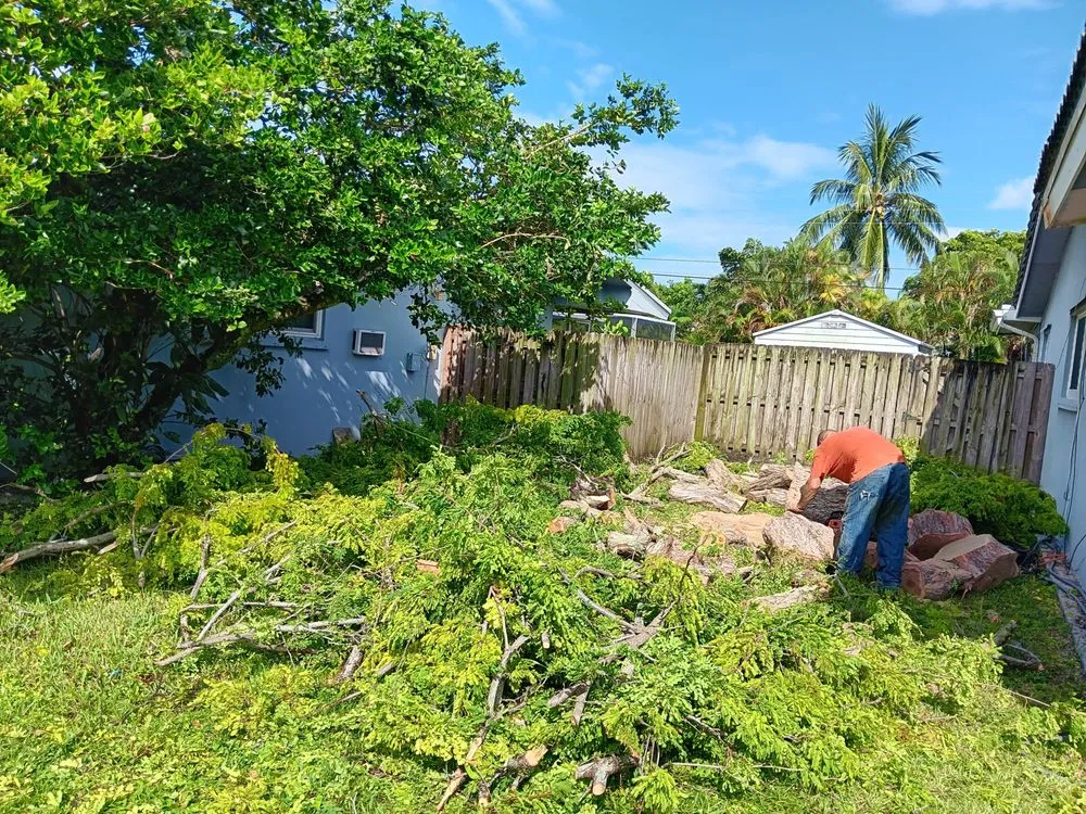 Expert yard maintenance for year-round maintenance across North Miami Beach, FL - Full Tree