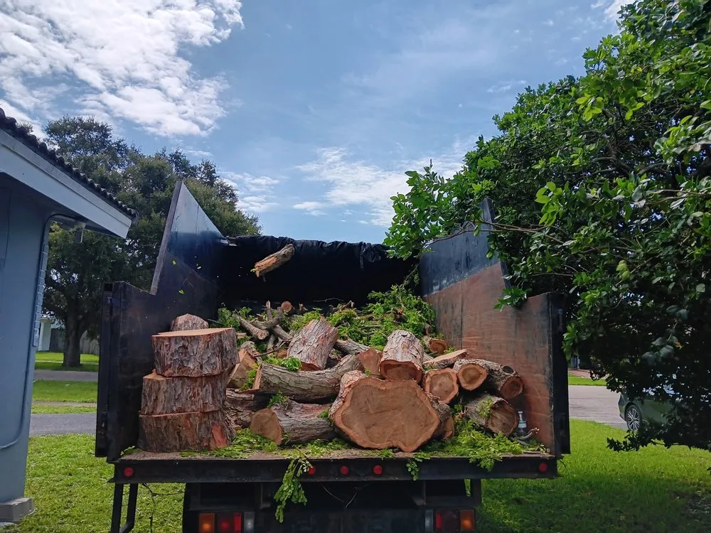 Reliable landscaping services experts serving North Miami Beach, FL - Full Tree