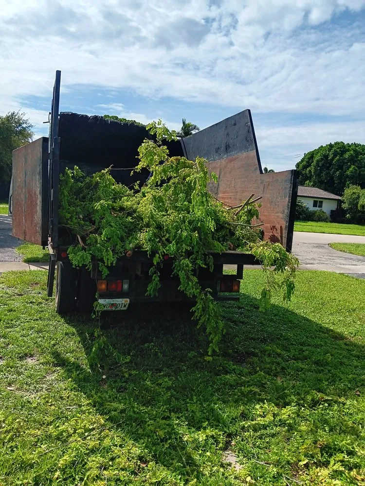 Affordable lawn mowing service in North Miami Beach, FL - Full Tree