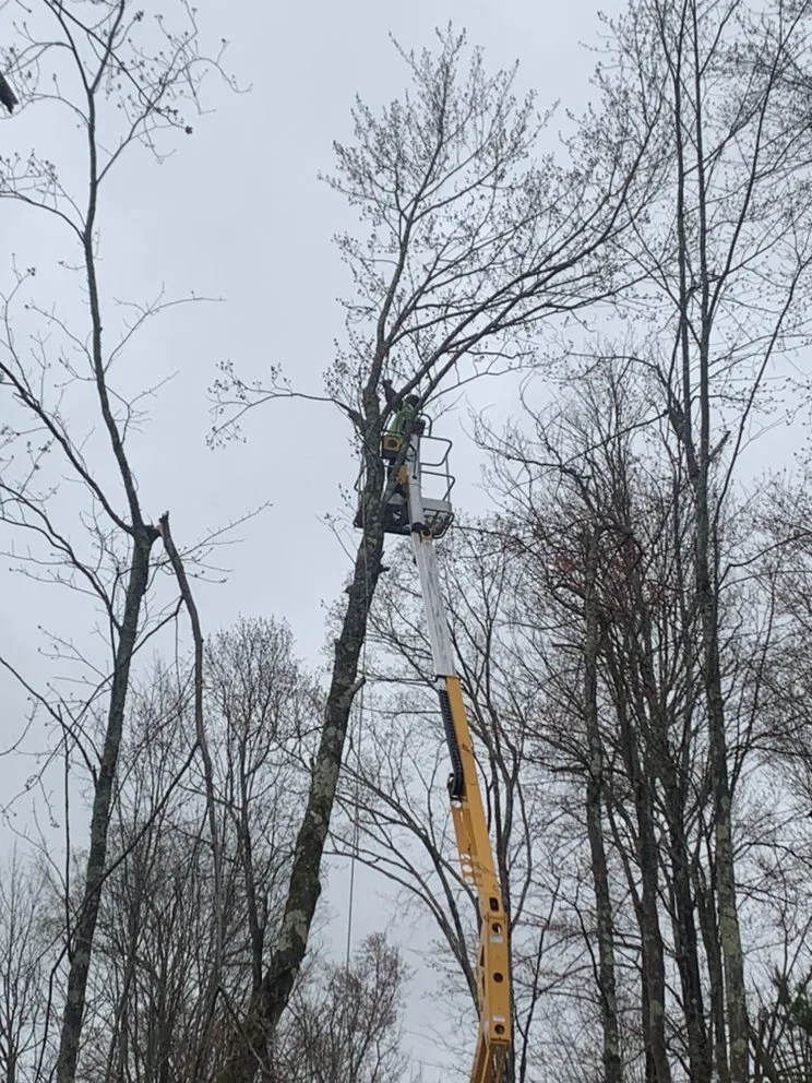 Affordable landscape design in Ellenville, NY by Fuller Industries