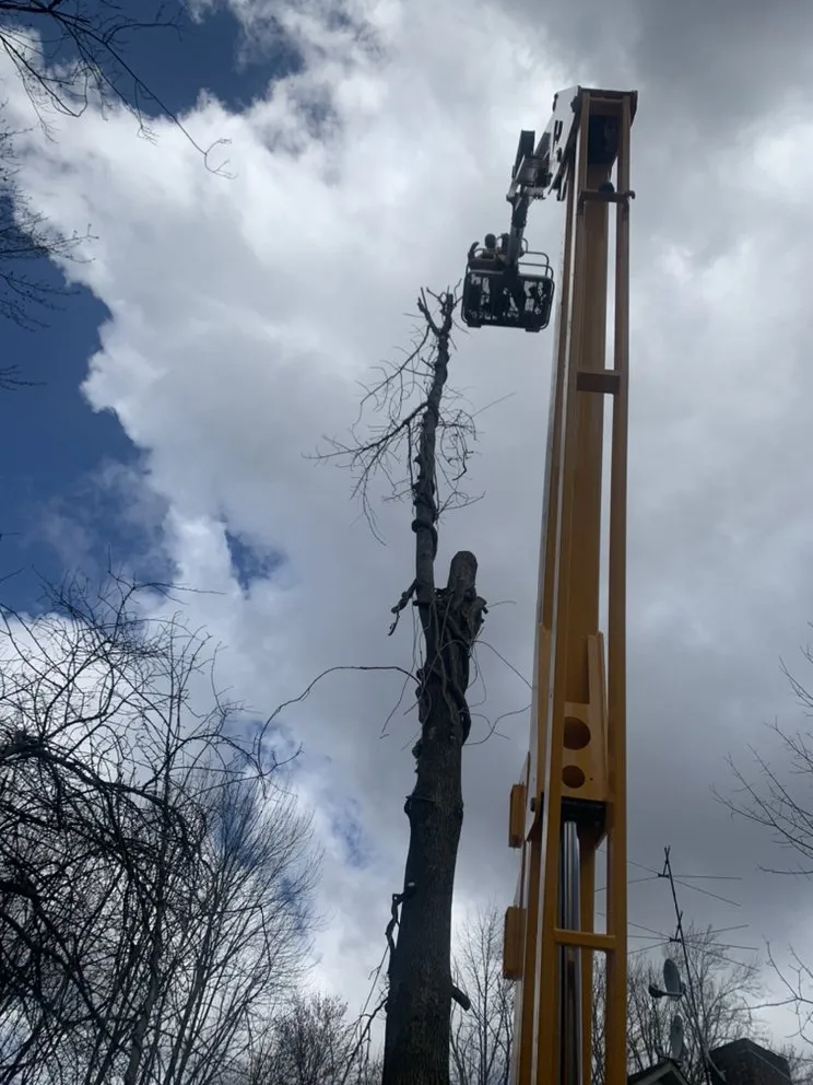 Local outdoor landscaping experts serving Ellenville, NY - Fuller Industries