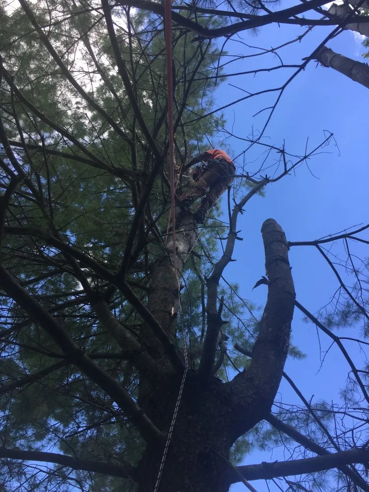 Top-rated landscape design for residential properties across Ellenville, NY - Fuller Industries