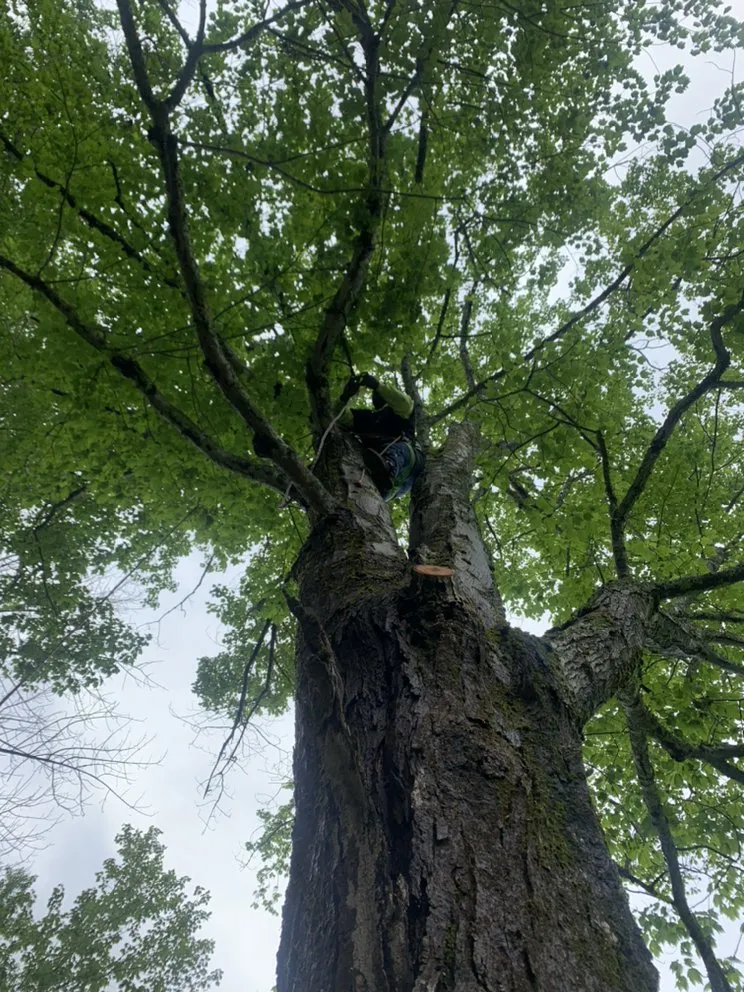 Professional lawn care service near you in Ellenville, NY by Fuller Industries