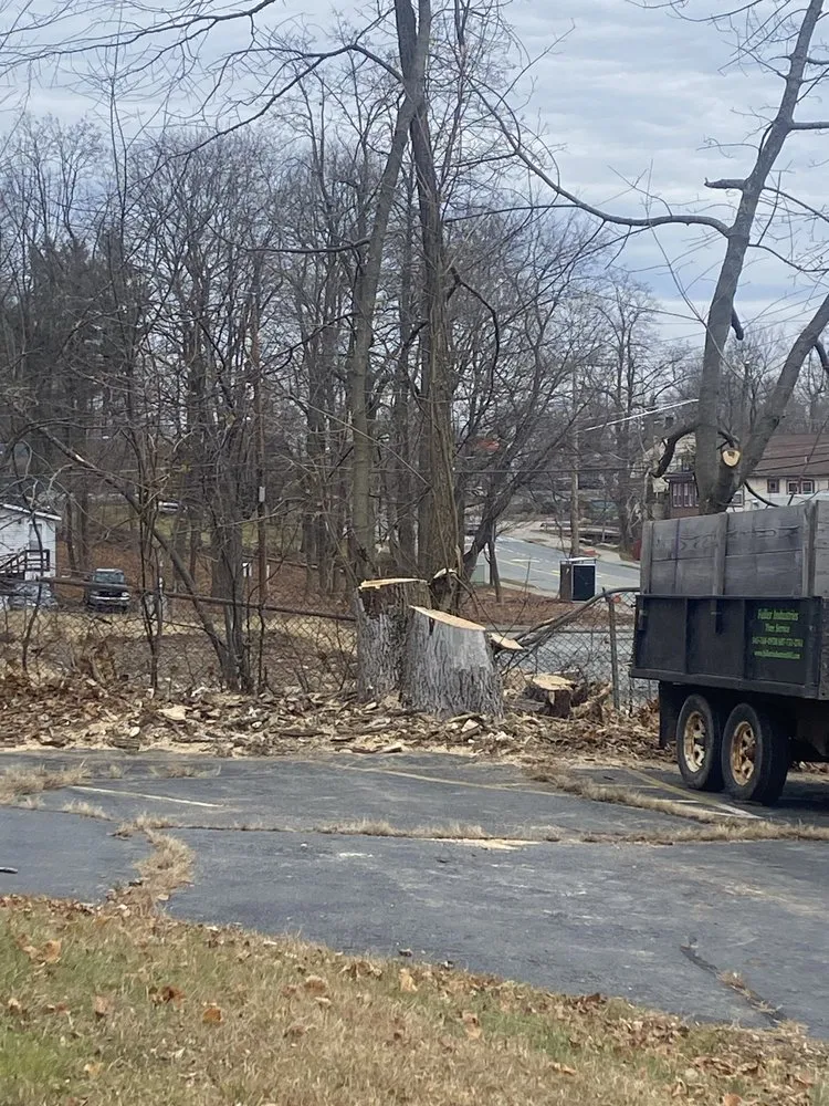 Affordable yard maintenance for year-round maintenance across Ellenville, NY - Fuller Industries