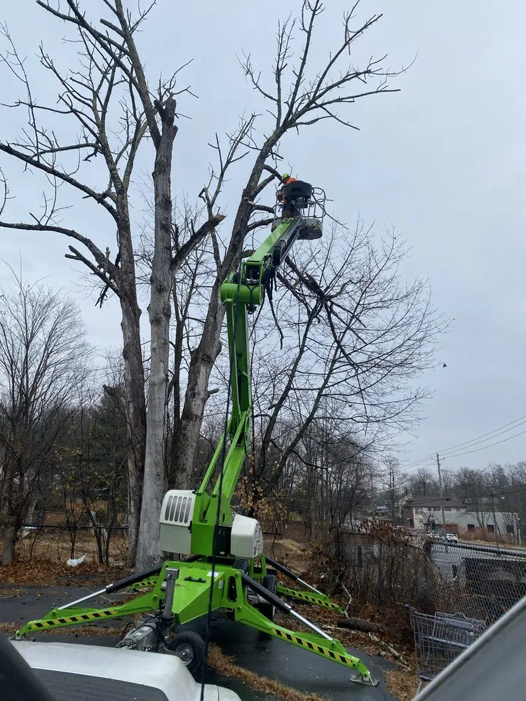 Custom yard maintenance in Ellenville, NY by Fuller Industries