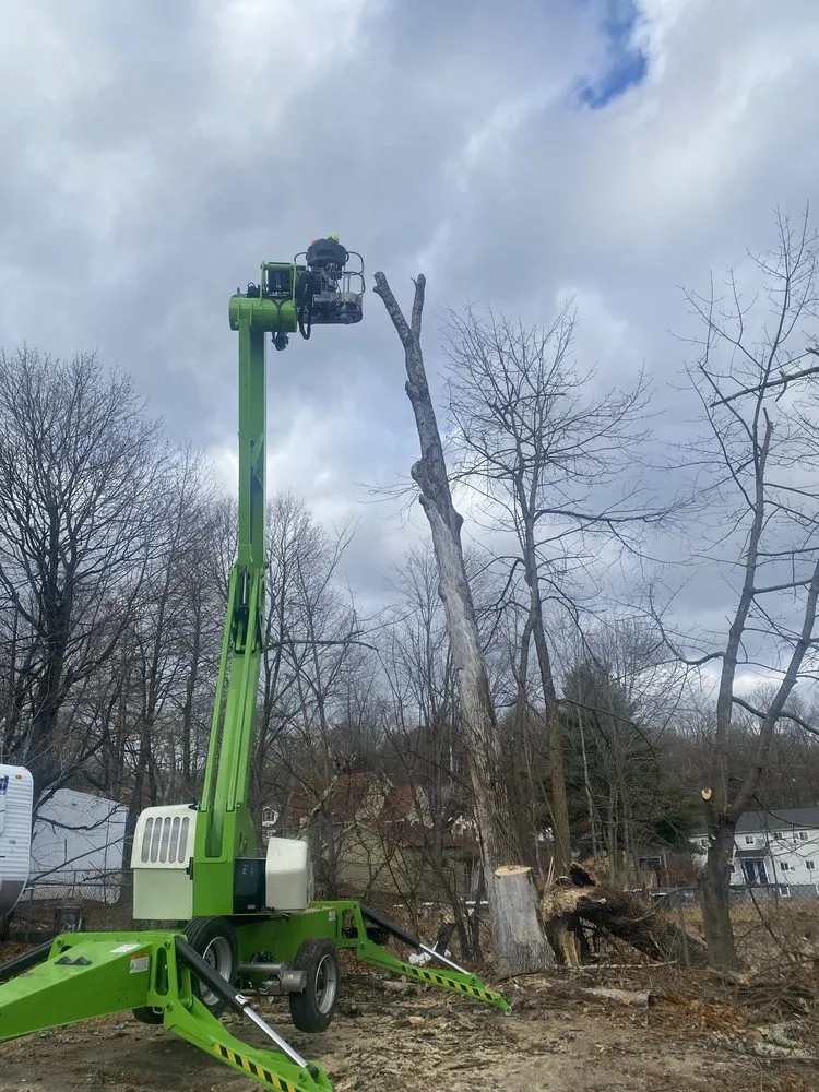 Affordable residential landscaping experts serving Ellenville, NY - Fuller Industries