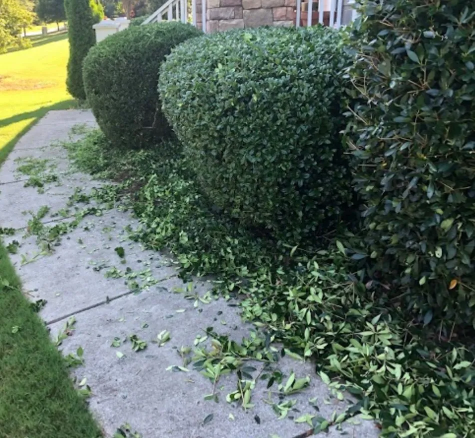 Reliable residential landscaping in Columbia, SC by Fuller Landscaping