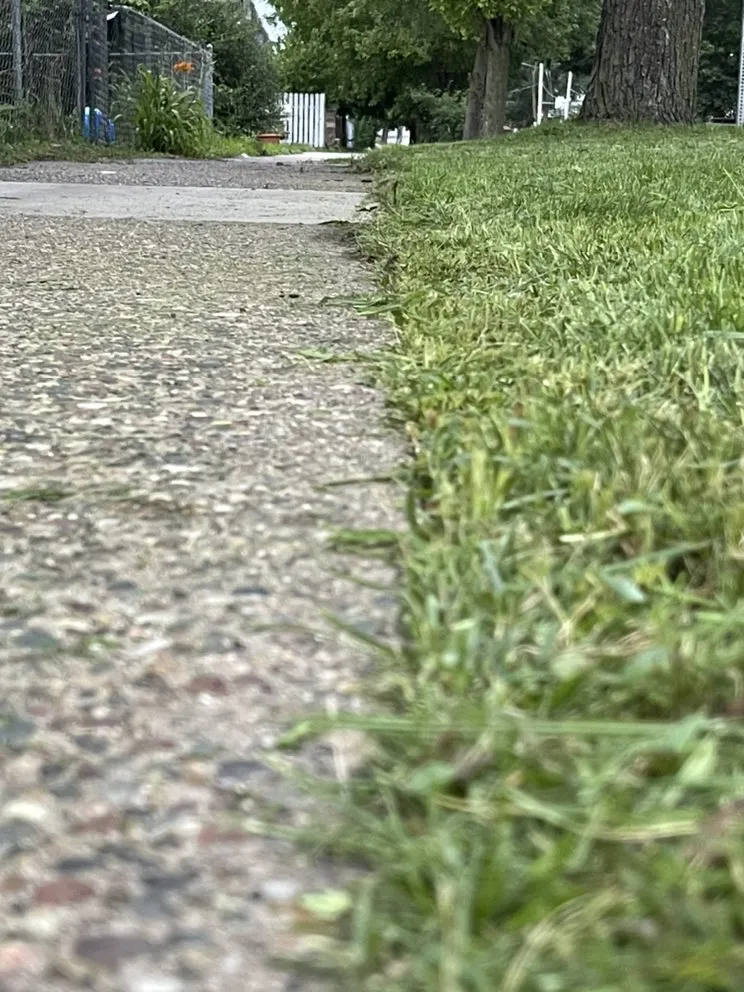 Professional landscaping services for beautiful yards across Taylor Ridge, IL - Fuller LDC