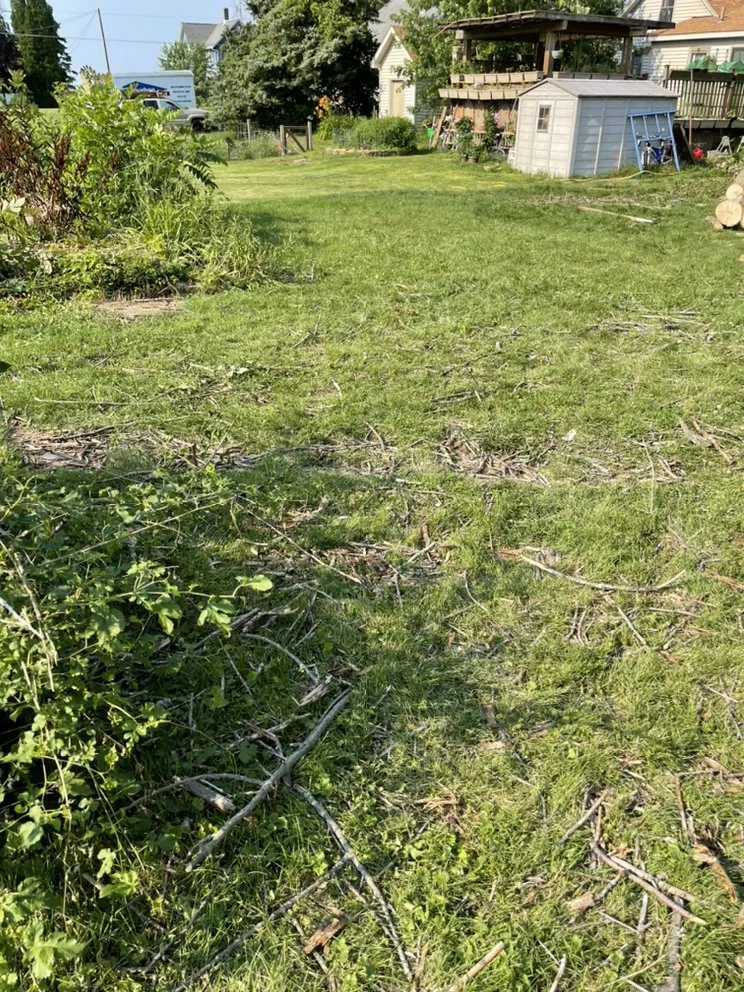 Professional lawn mowing service for beautiful yards across Taylor Ridge, IL - Fuller LDC