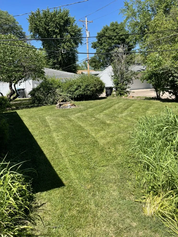 Top-rated yard cleanup service for homes in Taylor Ridge, IL by Fuller LDC
