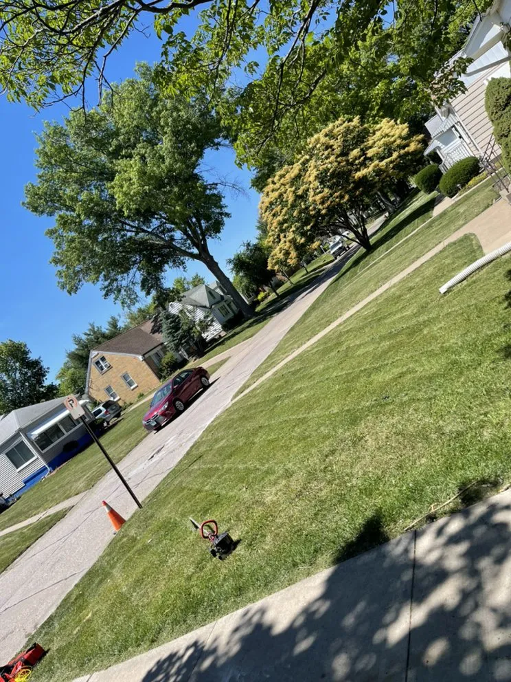Expert garden landscaping in Taylor Ridge, IL by Fuller LDC