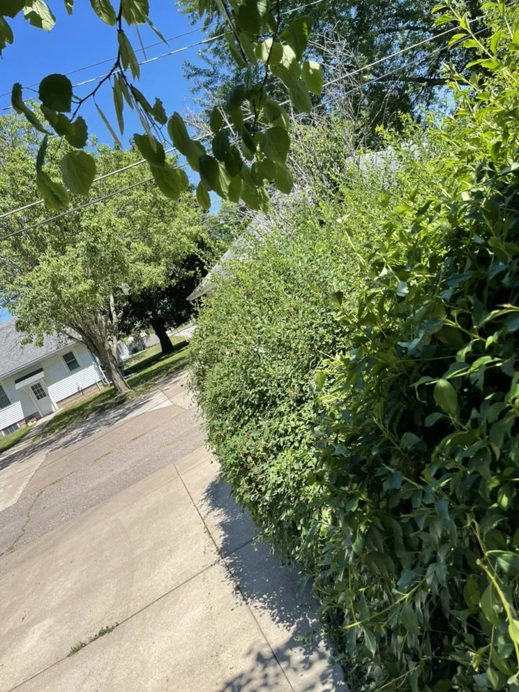 Top-rated lawn care service with custom design in Taylor Ridge, IL by Fuller LDC