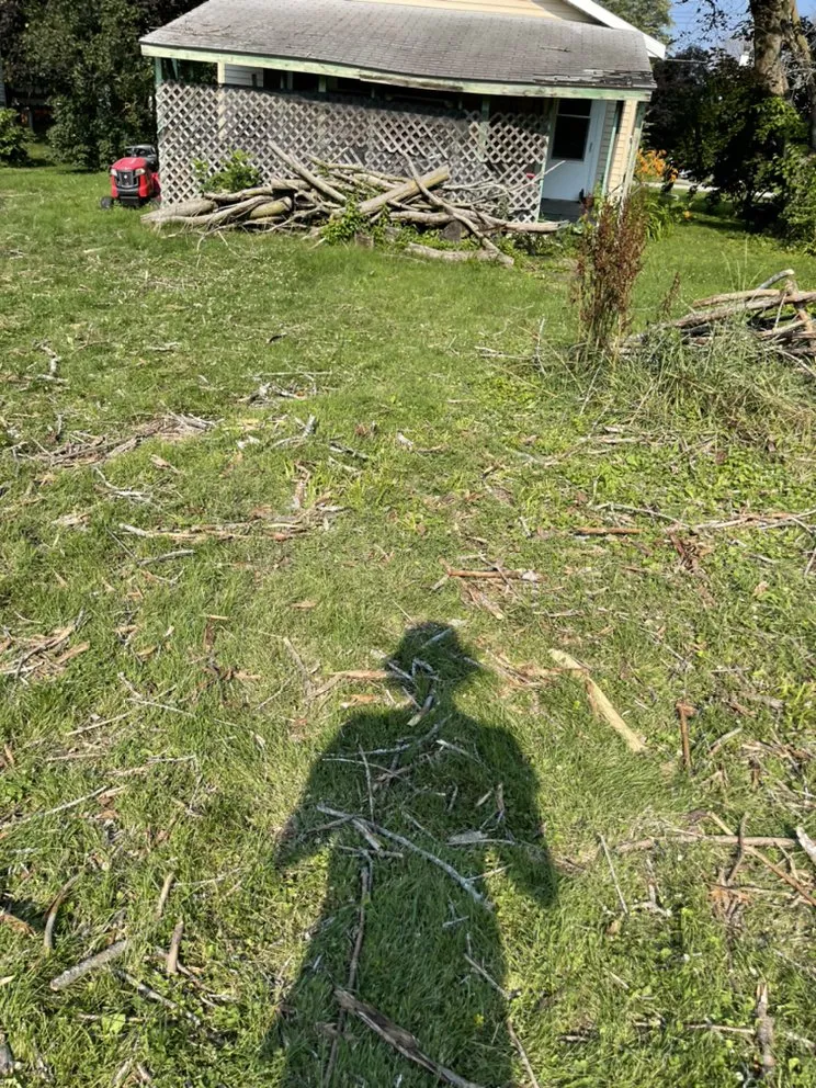 Expert landscaping services for year-round maintenance in Taylor Ridge, IL by Fuller LDC