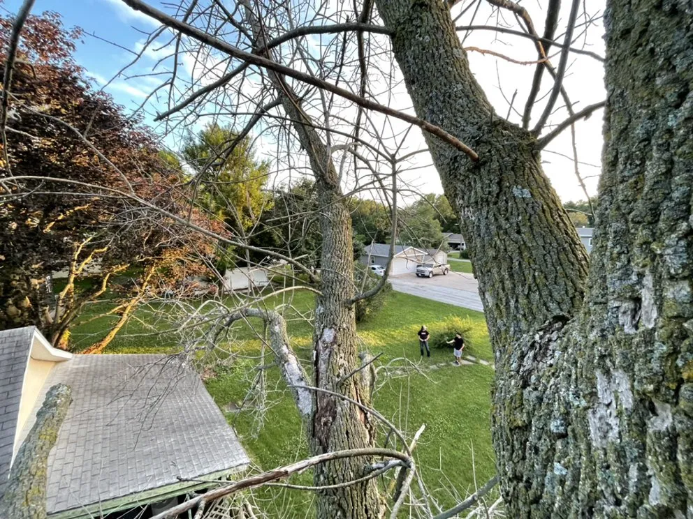 Trusted landscaping services in Taylor Ridge, IL by Fuller LDC