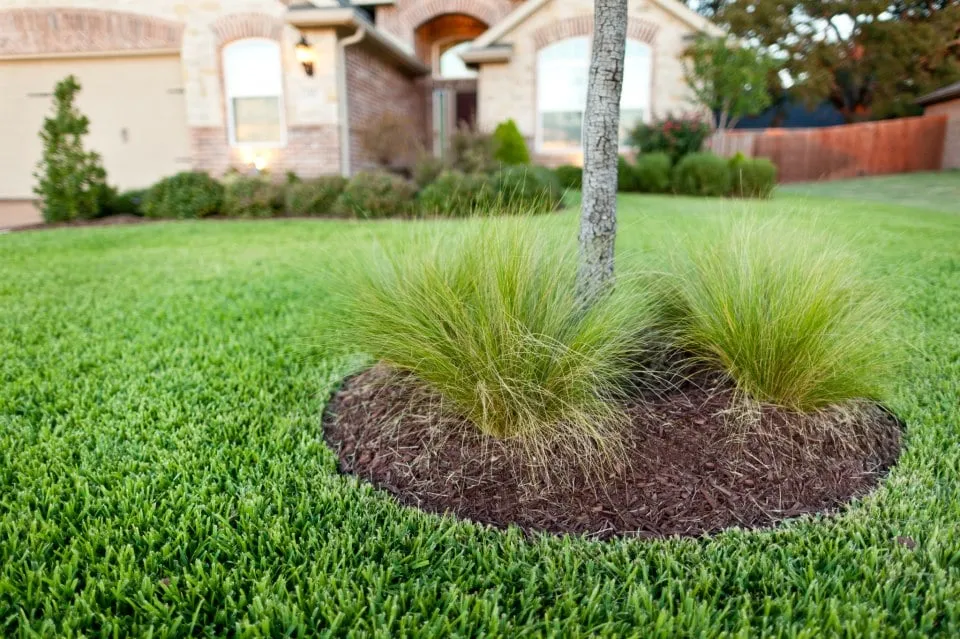 Custom yard cleanup service for year-round maintenance across Greenville, TX - Fuller's Landscaping