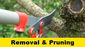 Custom lawn care service in Warriors Mark, PA by Fuller's Quality Tree Service