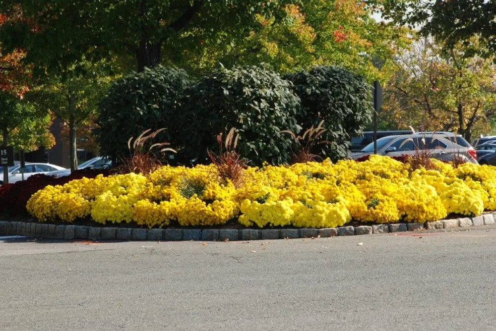 Reliable garden landscaping in Kenvil, NJ by Fullerton Grounds Maintenance