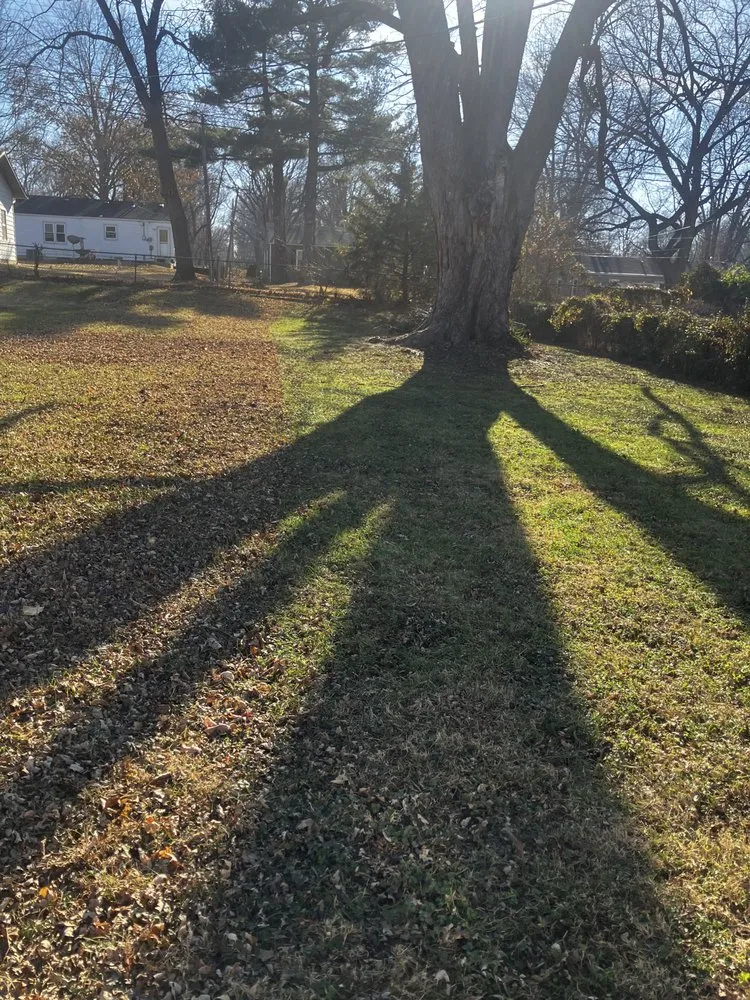 Custom landscape installation with custom design in Edwardsville, KS by FullForce outdoor solutions