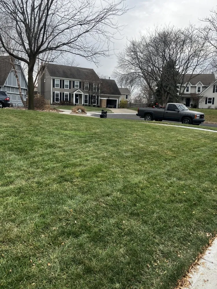 Reliable yard maintenance for homes across Edwardsville, KS - FullForce outdoor solutions