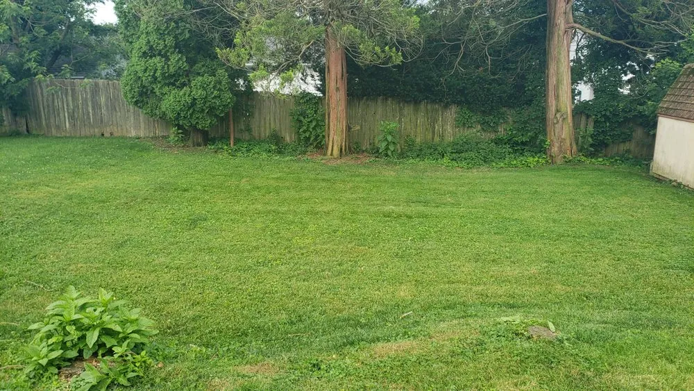 Trusted lawn care service for beautiful yards in Chester, PA by Fullman Turf Wars