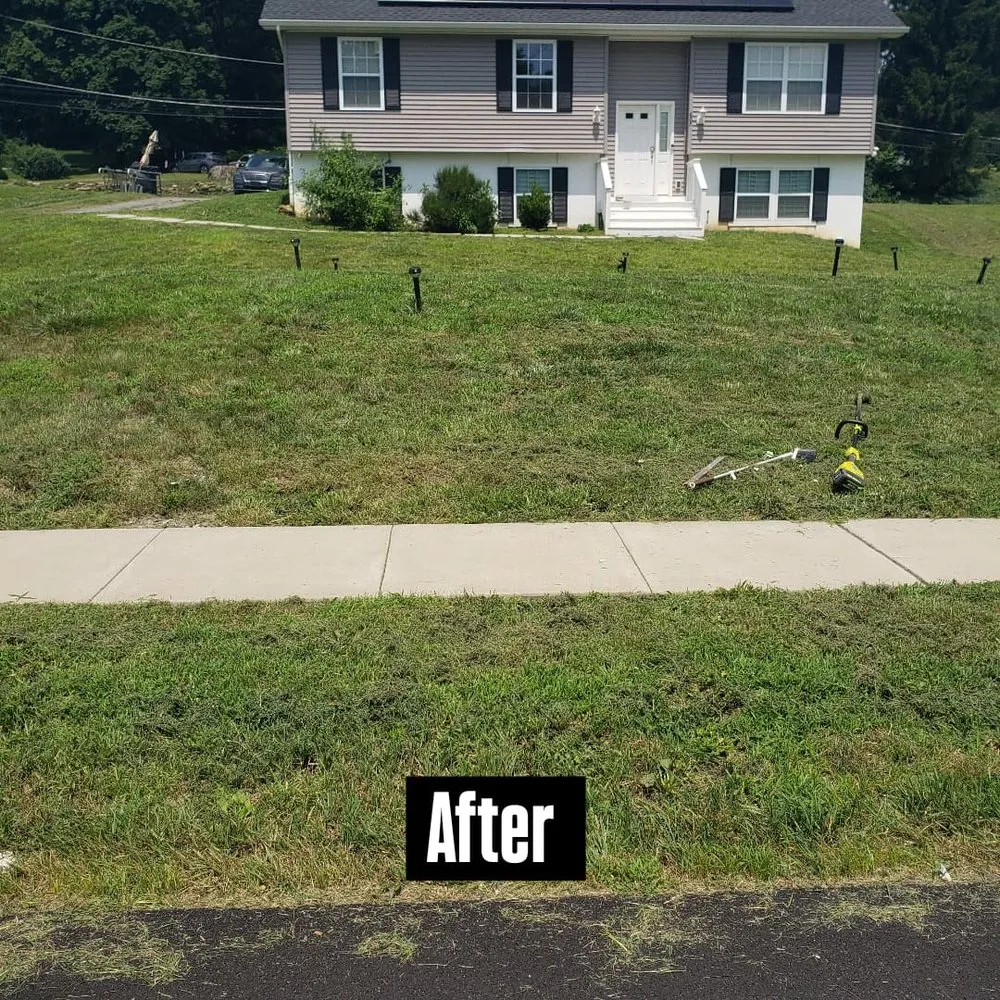 Custom yard cleanup service experts serving Chester, PA - Fullman Turf Wars