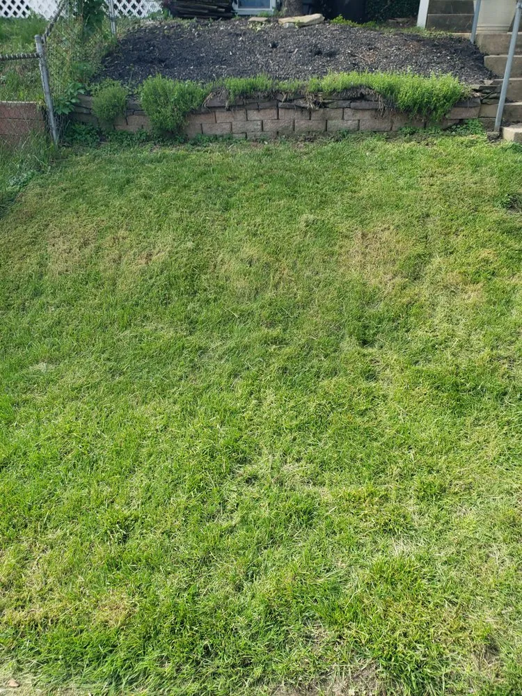 Professional landscape design experts serving Chester, PA - Fullman Turf Wars