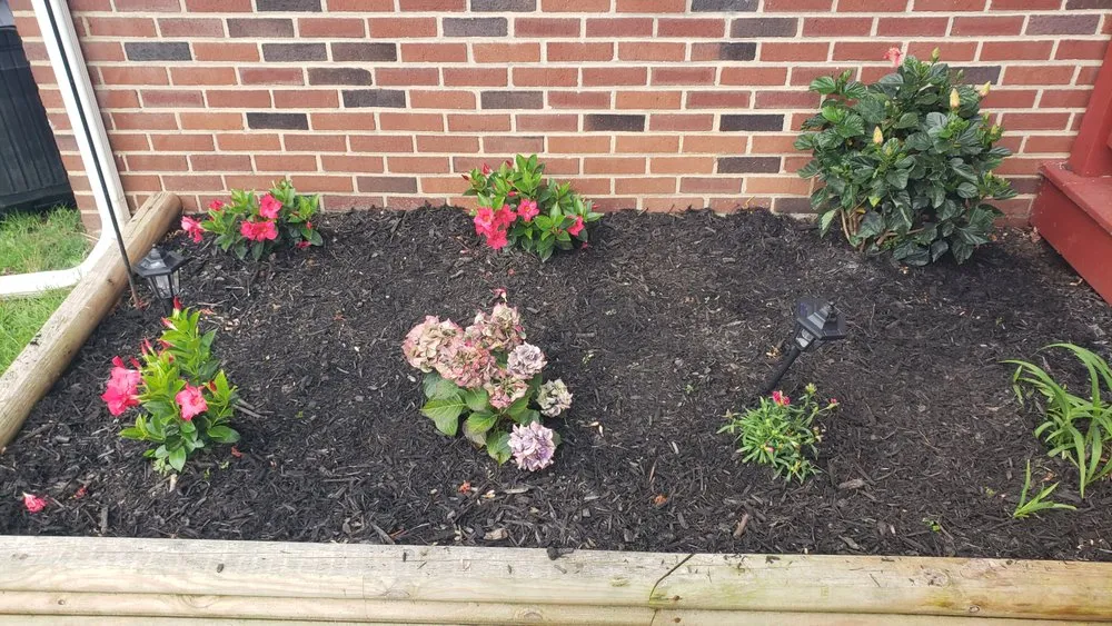 Top-rated yard cleanup service for homes in Chester, PA by Fullman Turf Wars