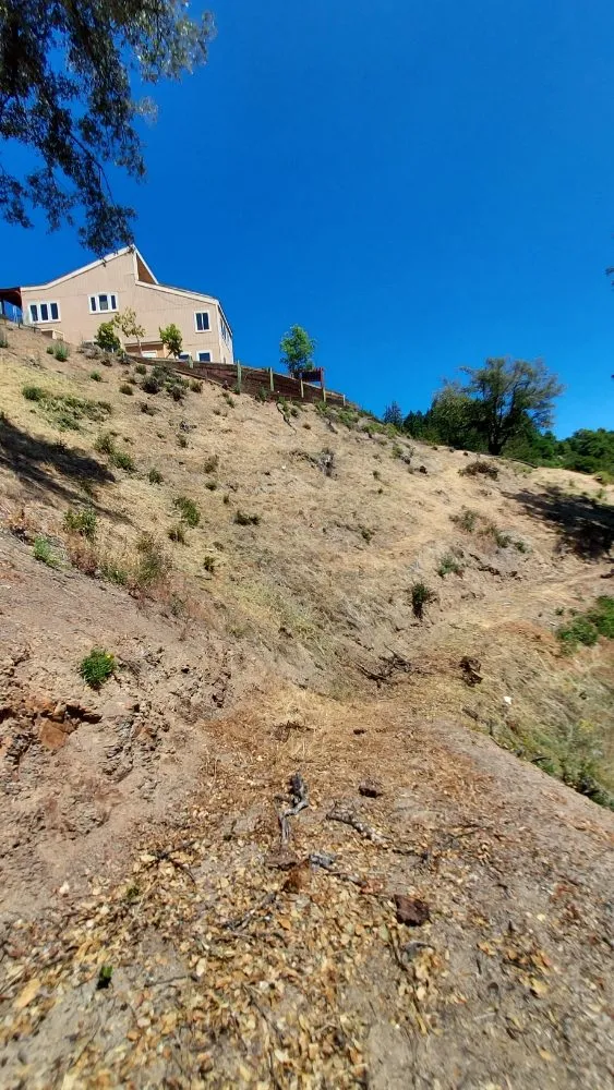 Affordable yard cleanup service for year-round maintenance in Boulder Creek, CA by Fullscape Landscaping & Maintenance