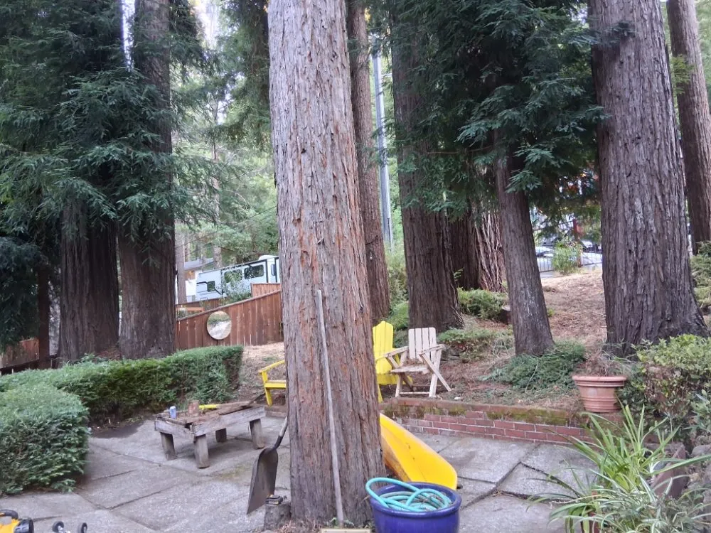 Trusted lawn mowing service for residential properties in Boulder Creek, CA by Fullscape Landscaping & Maintenance