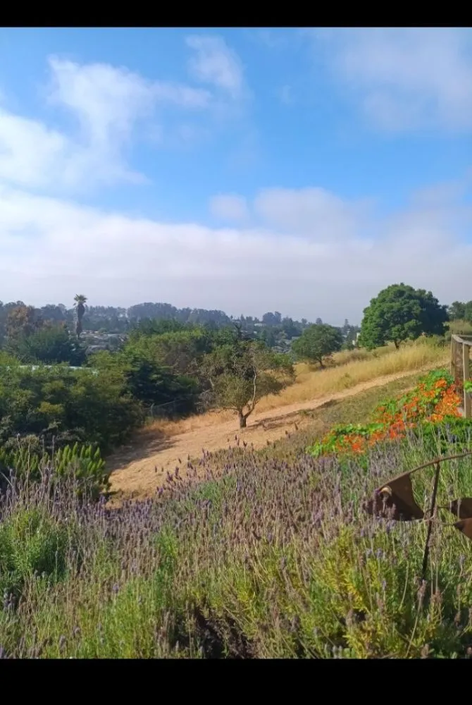 Top-rated landscape design in Boulder Creek, CA by Fullscape Landscaping & Maintenance
