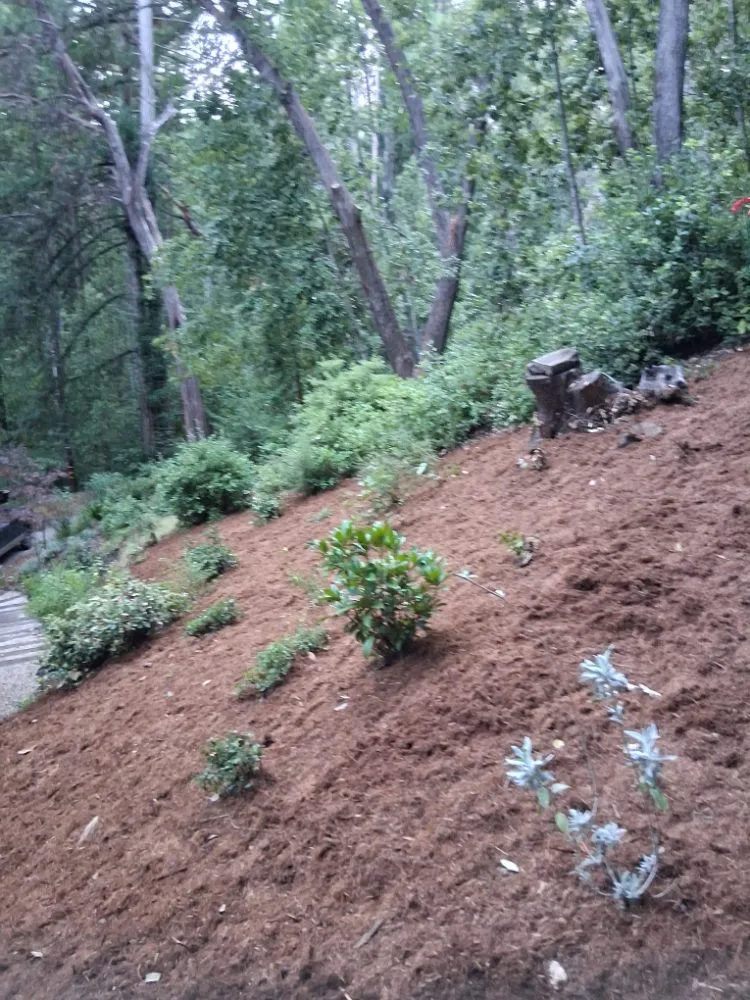 Reliable lawn mowing service near you in Boulder Creek, CA by Fullscape Landscaping & Maintenance